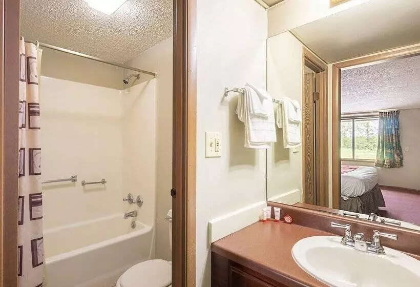 Oyo Hotel Daleville Al Hwy 84