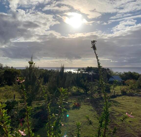 هتل Teanehi Bed & Breakfast