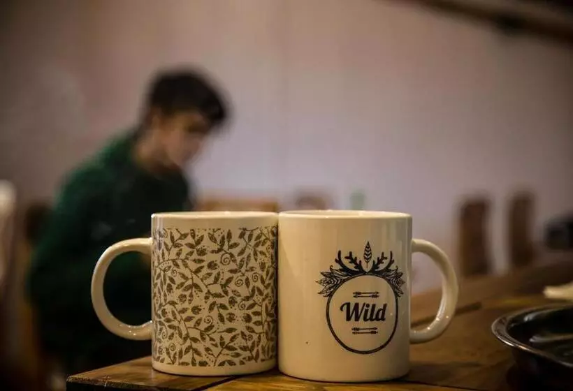 پانسیون Hostal Boutique Terra Antarctica