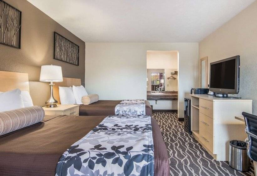 ホテル Americas Best Value Inn Alliance