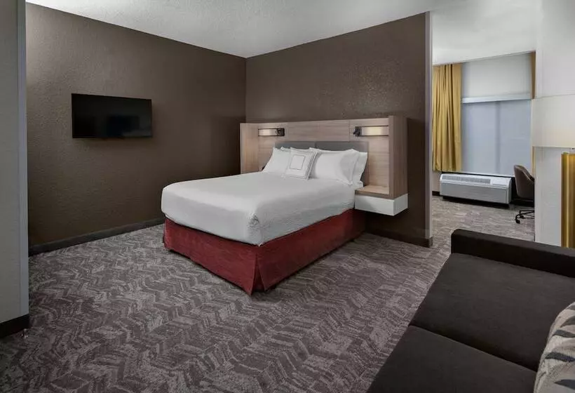 酒店 Springhill Suites Houston Hobby Airport