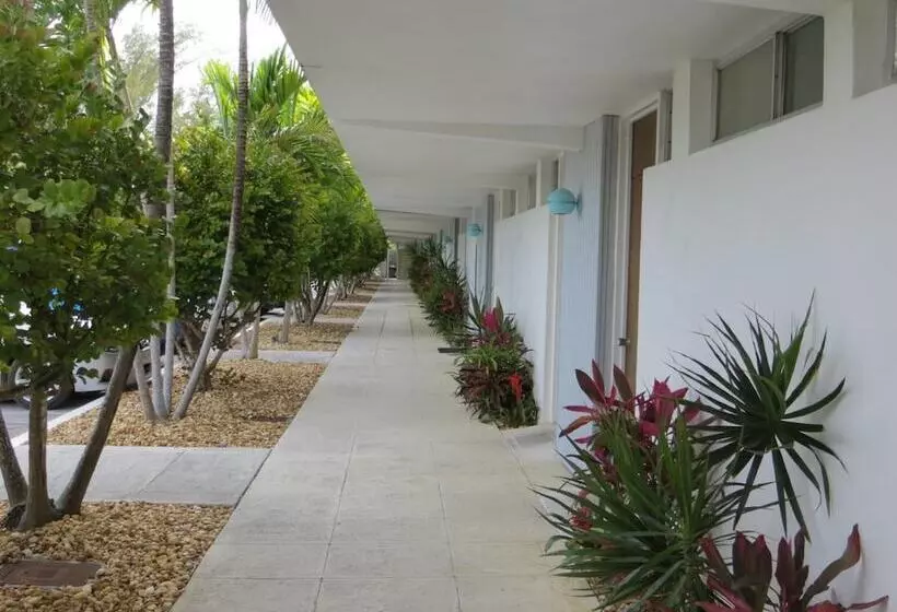 فندق Sugar Loaf Lodge