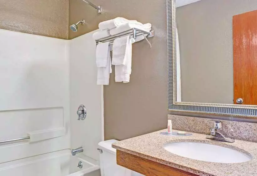 The Freeport Hotel, Ascend Hotel Collection