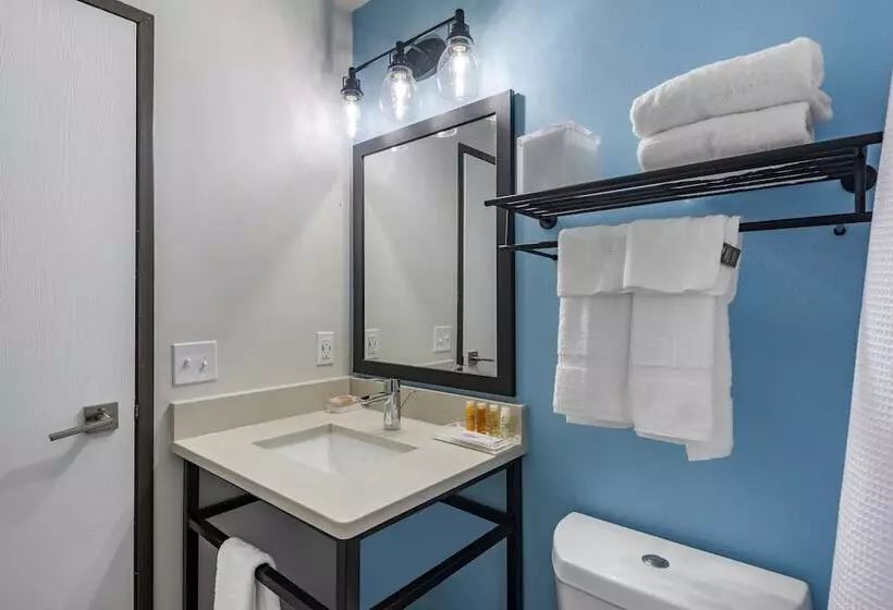 The Freeport Hotel, Ascend Hotel Collection