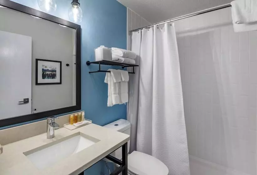 The Freeport Hotel, Ascend Hotel Collection