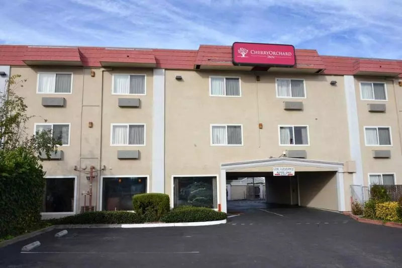 汽车旅馆 Cherry Orchard Inn