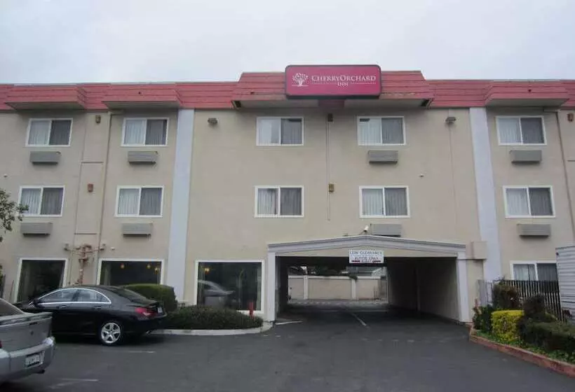 汽车旅馆 Cherry Orchard Inn