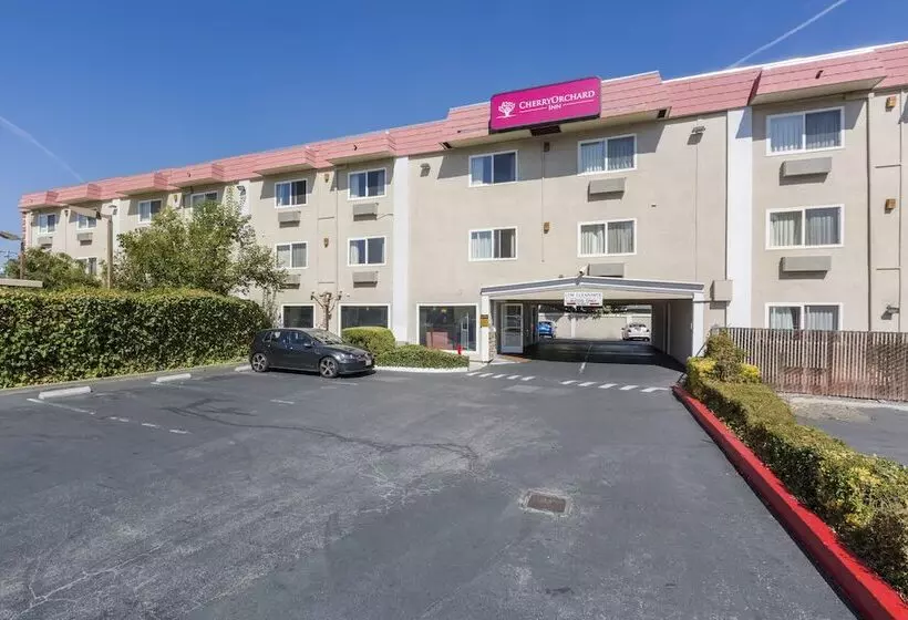 汽车旅馆 Cherry Orchard Inn