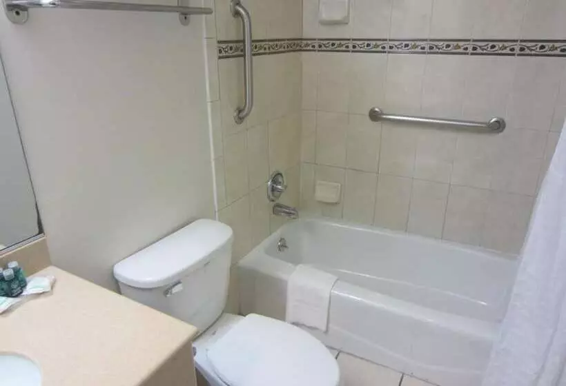 汽车旅馆 Cherry Orchard Inn