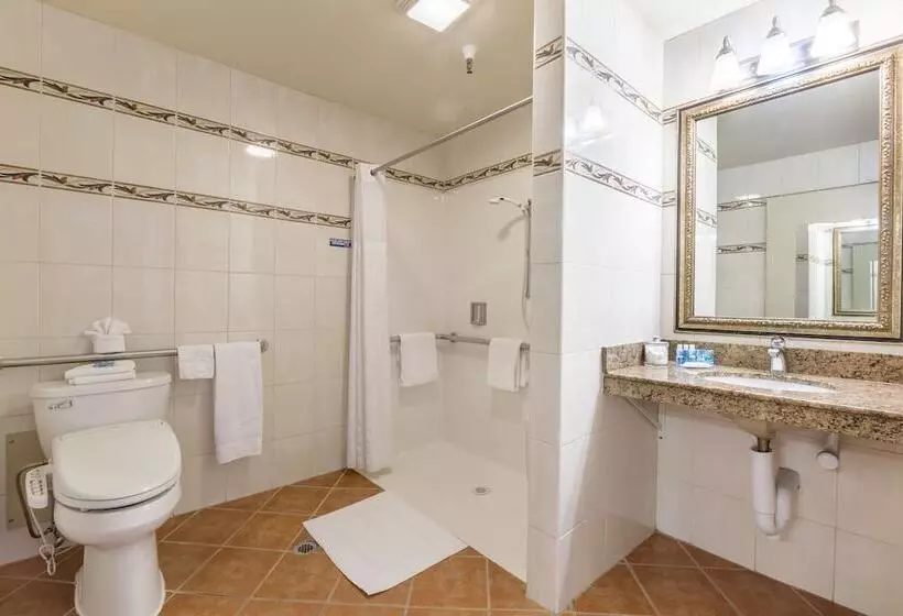 汽车旅馆 Cherry Orchard Inn