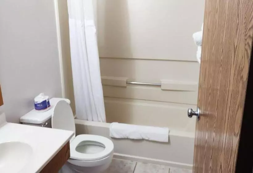 汽车旅馆  Magnuson Hotel Ironwood