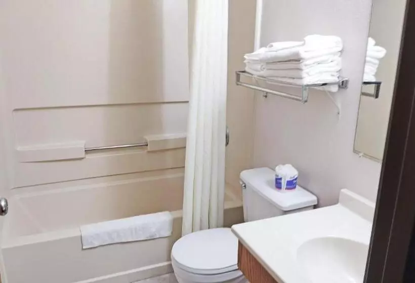 汽车旅馆  Magnuson Hotel Ironwood