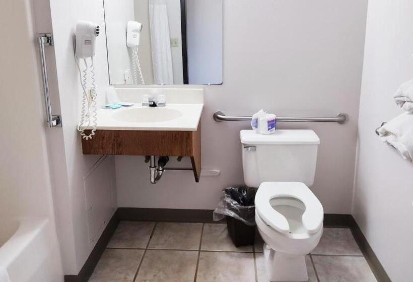 汽车旅馆 Magnuson Hotel Ironwood