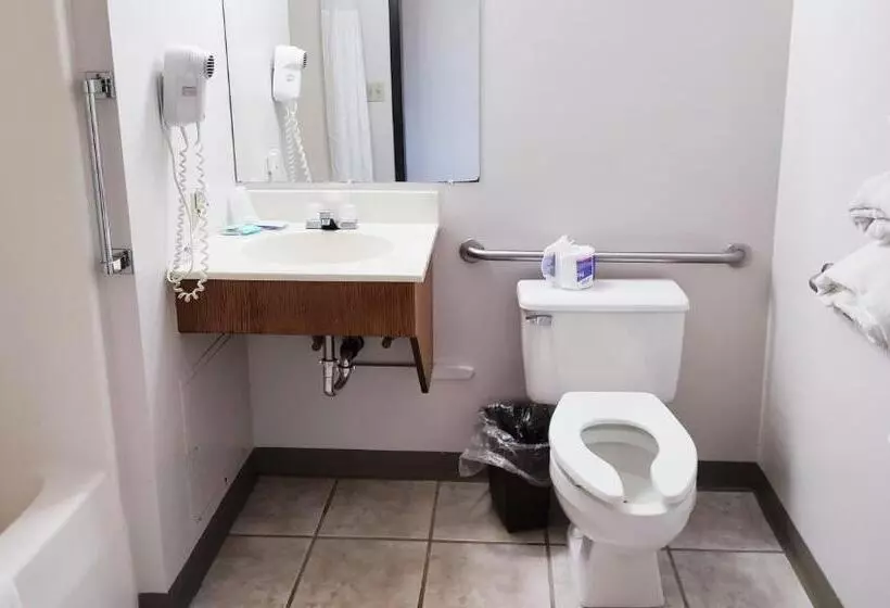 汽车旅馆  Magnuson Hotel Ironwood