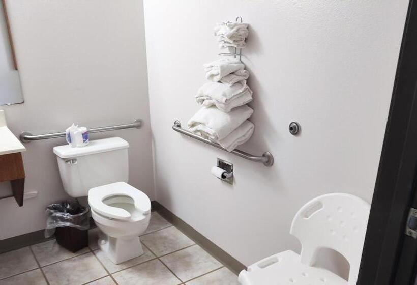 汽车旅馆 Magnuson Hotel Ironwood