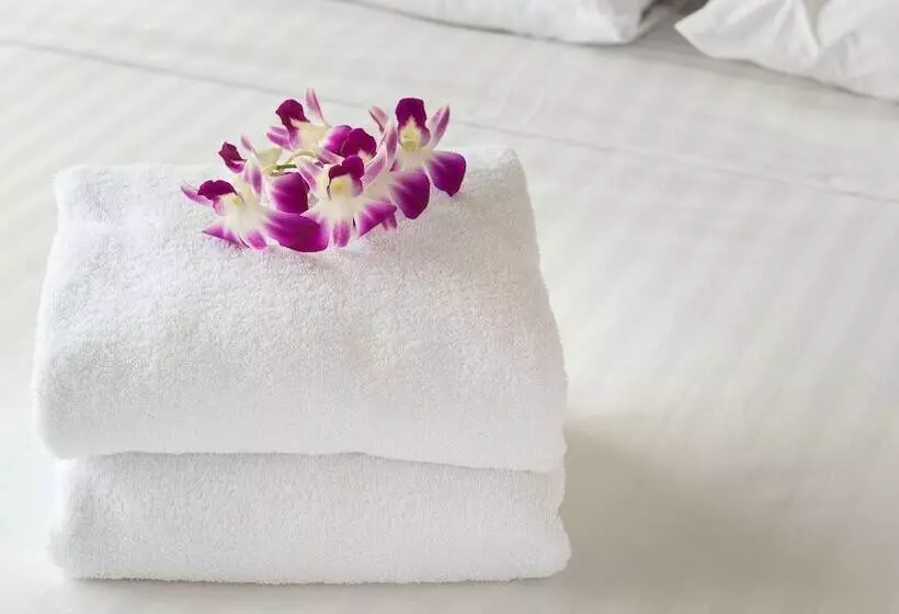 מוטל Magnuson Hotel Jacksonville Downtown