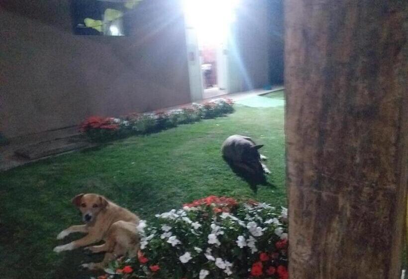 Albergue Hospedagem Maria Joana