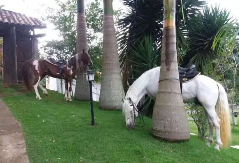 Eco Hotel Poços De Caldas