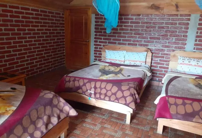 ホテル Cabañas Paraiso Tziscao