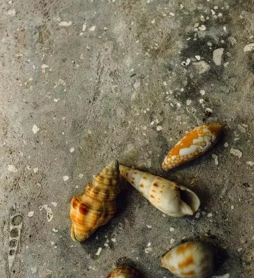 هتل Mi Lugar Maldives