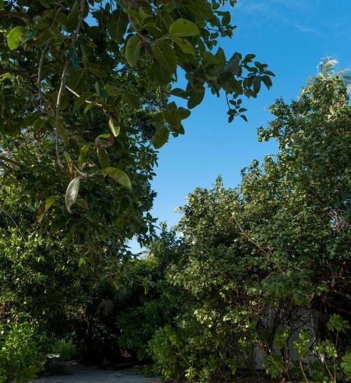 هتل Mi Lugar Maldives