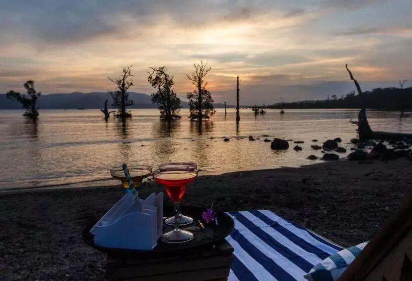 Hotelli Symphony Samudra Beachside Jungle Resort And Spa