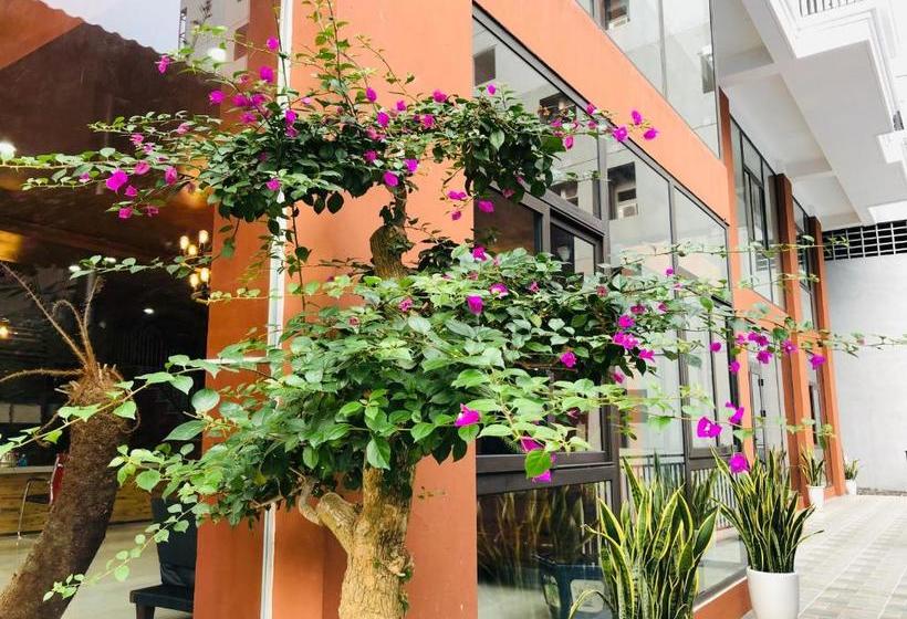 هاستل Cocoon Inn Cat Ba