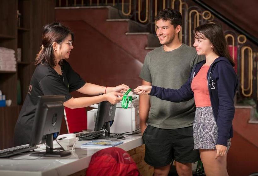 هاستل Cocoon Inn Cat Ba