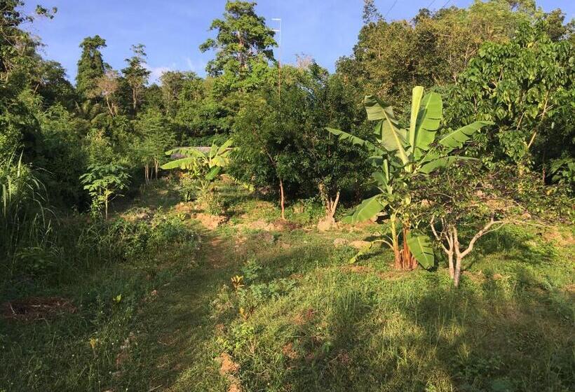 هاستل Little Nomads Eco Guesthouse