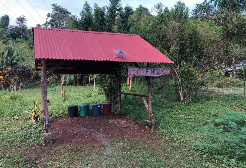 هاستل Little Nomads Eco Guesthouse