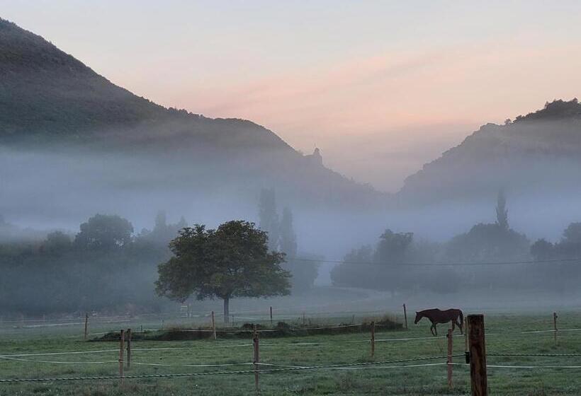 Bed and Breakfast Mas De Reilhanette