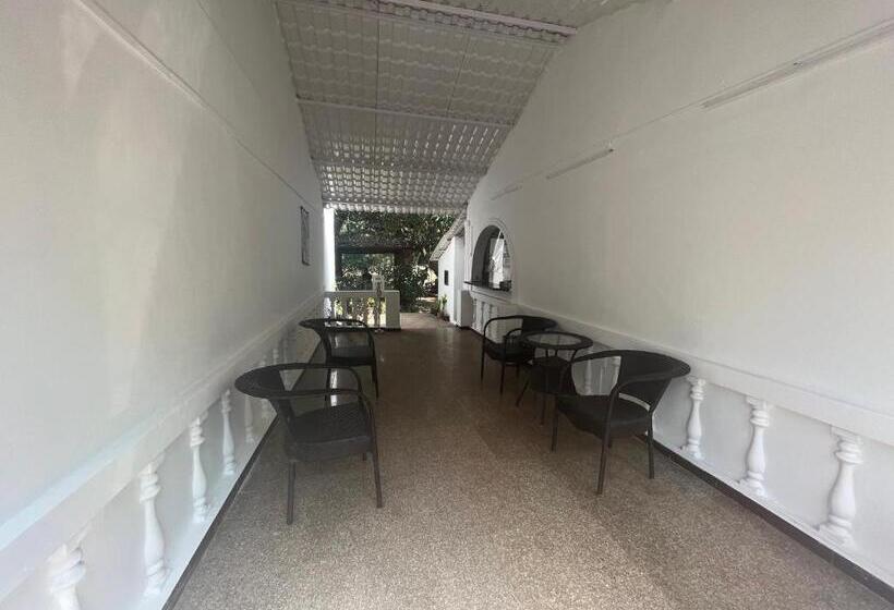 פנסיון La Petite Guest House