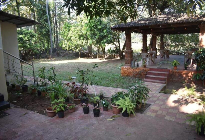 פנסיון La Petite Guest House