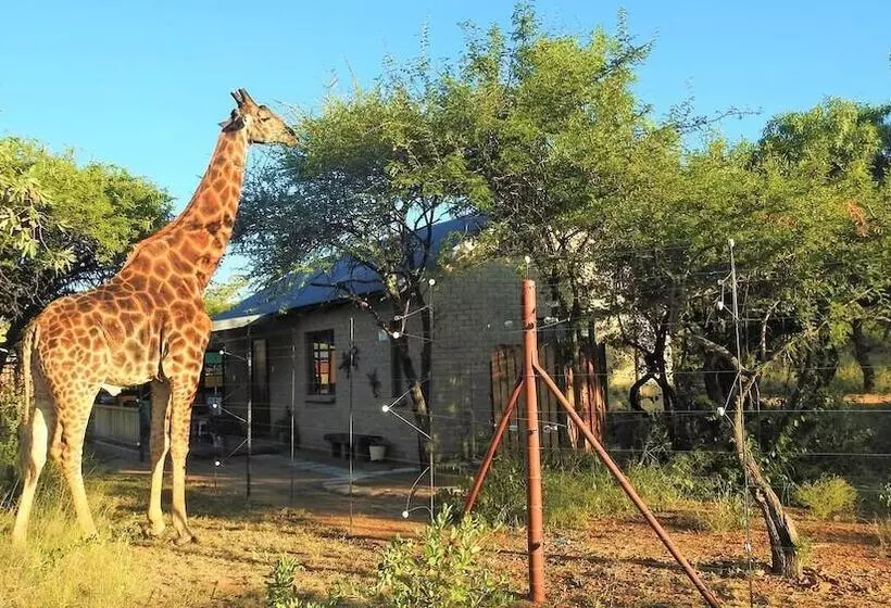 ホテル Marulani Bush Lodge