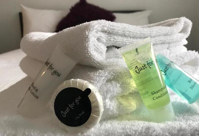 فندق Sidney Place