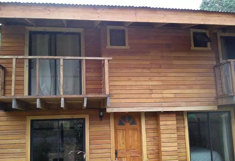 ペンション Hostal Los Alamos Neltume