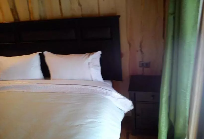 ペンション Hostal Los Alamos Neltume