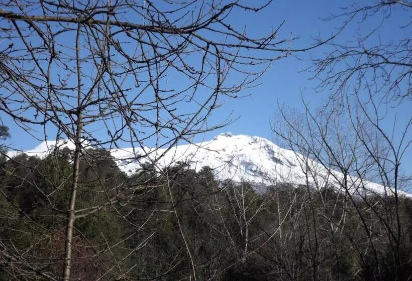 ペンション Hostal Los Alamos Neltume