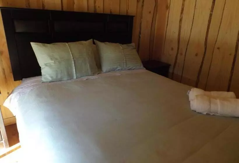 ペンション Hostal Los Alamos Neltume