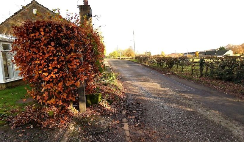 Country School Cottage Near Harwood