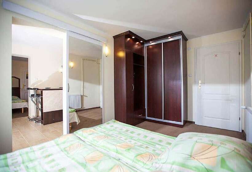 Пансион Apartamenty Amber