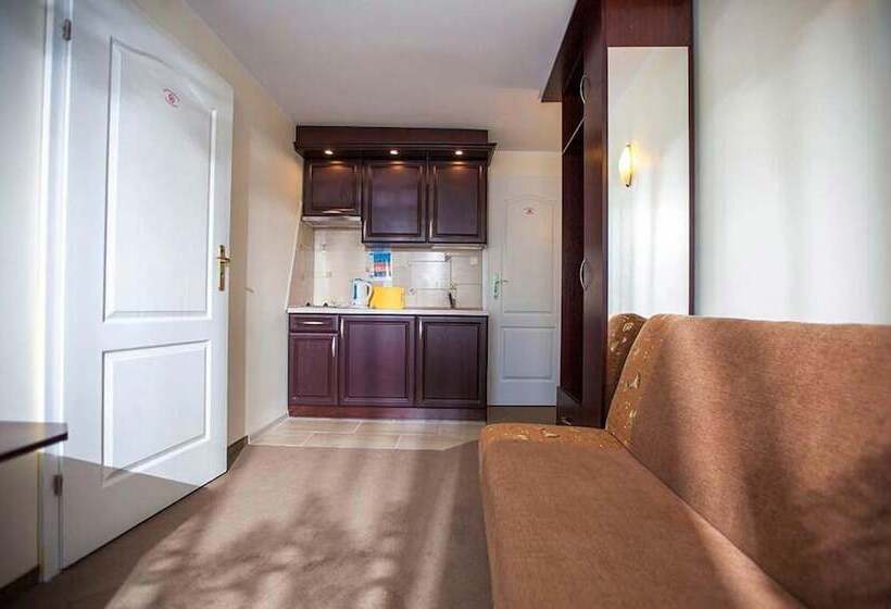 Пансион Apartamenty Amber