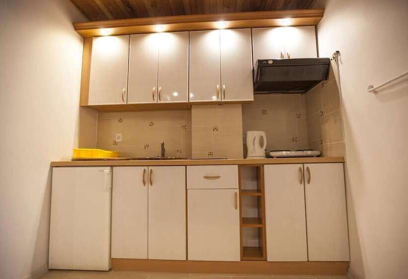 Пансион Apartamenty Amber