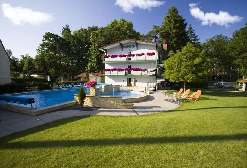 Majatalo Apartamenty Amber