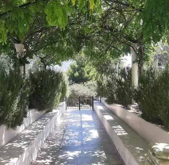 Apartments Trstenica