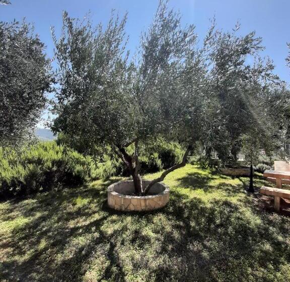 Apartments Trstenica