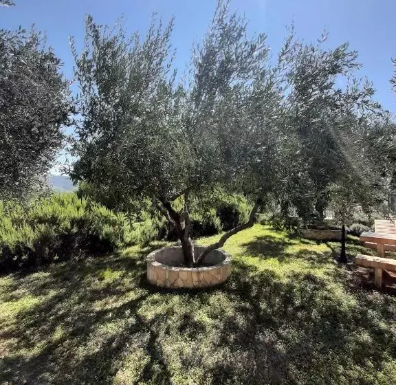 Apartments Trstenica