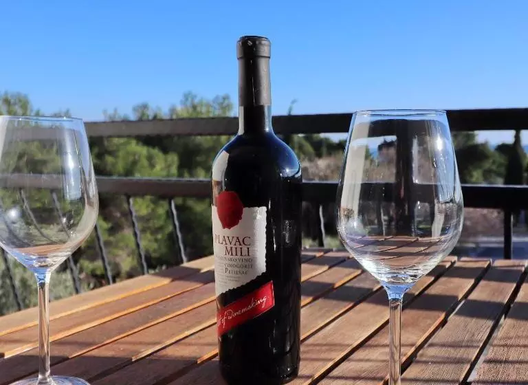 Apartments Trstenica