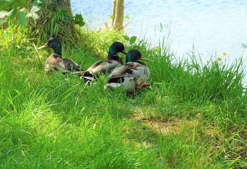 فندق Camping La Sittelle