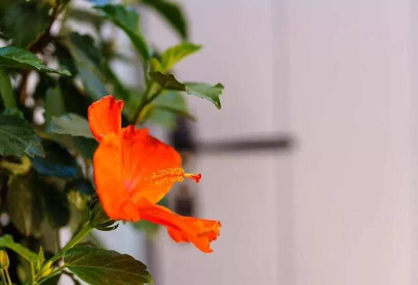 Majatalo Beach Houses Santorini